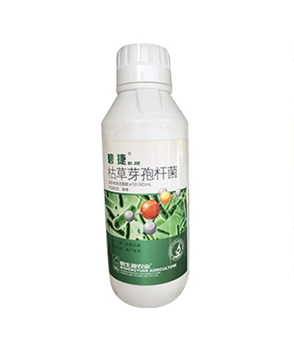 枯草芽孢杆菌（碧捷）